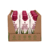 Aloe Berry Nectar x12